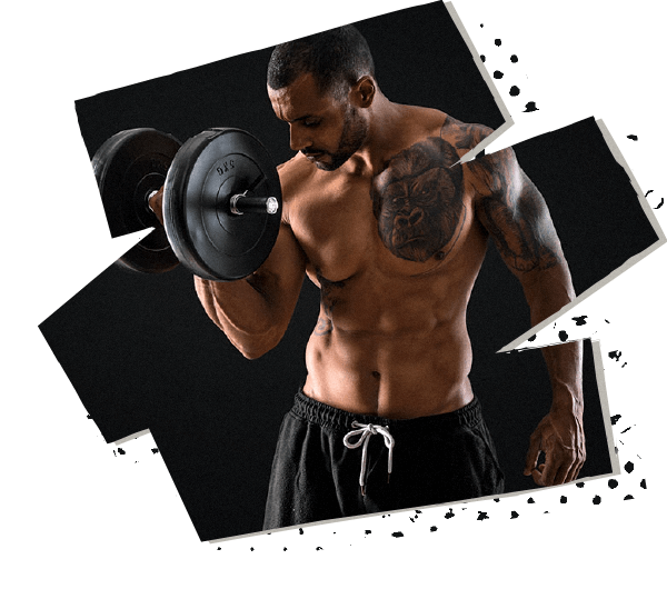 https://muaybalance.de/wp-content/uploads/2021/05/hero_image_07.png